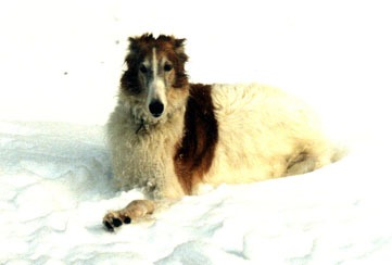 Photo: Sinikka Yli-Kleemola